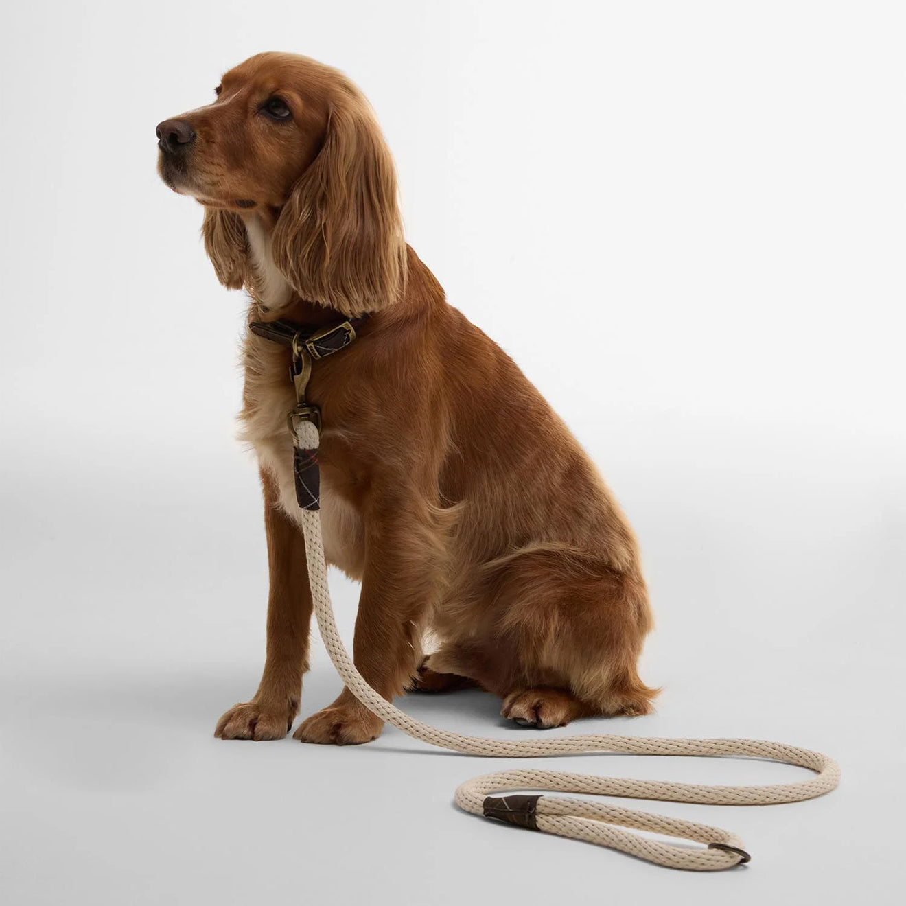 Barbour Cotton Rope Dog Lead Natural/Classic - The Sporting Lodge