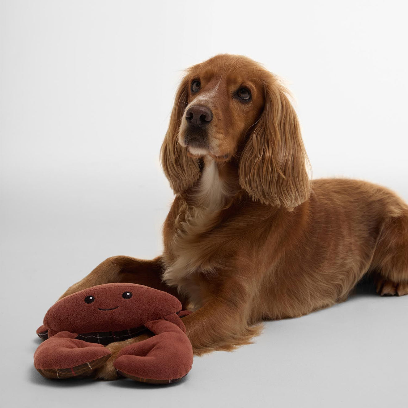 Barbour Crab Dog Toy - The Sporting Lodge