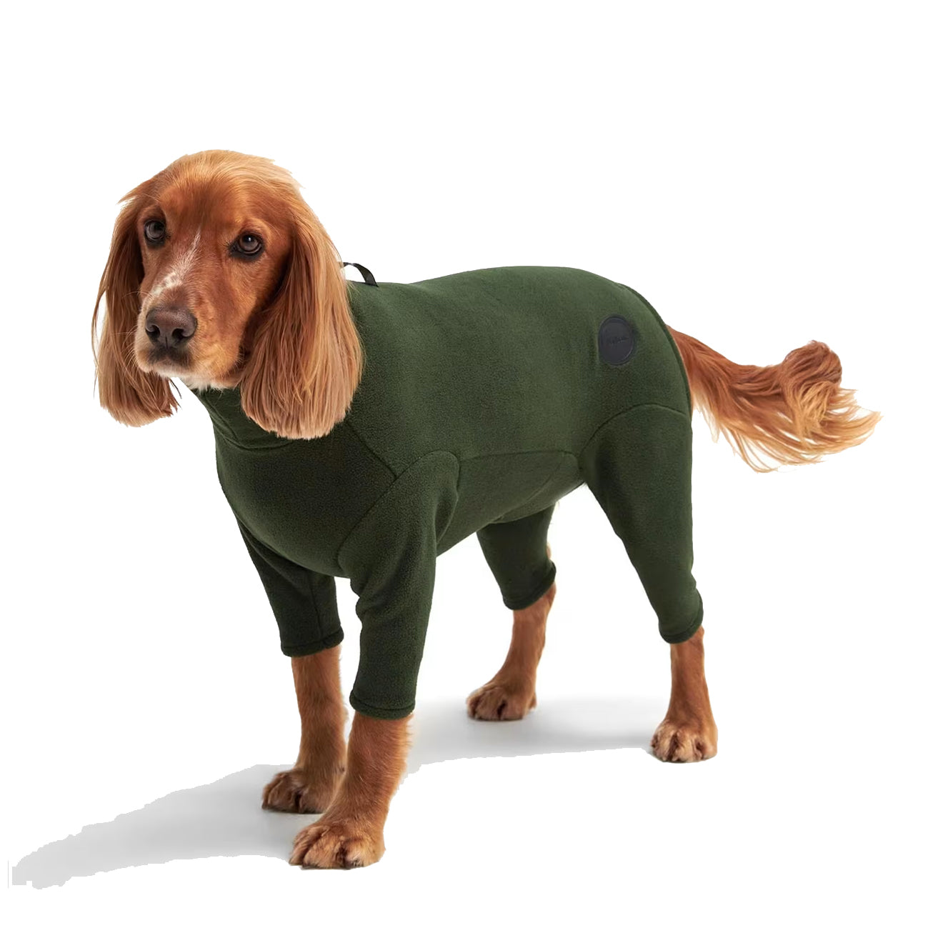 Barbour Dog Fleece All In One Green - The Sporting Lodge