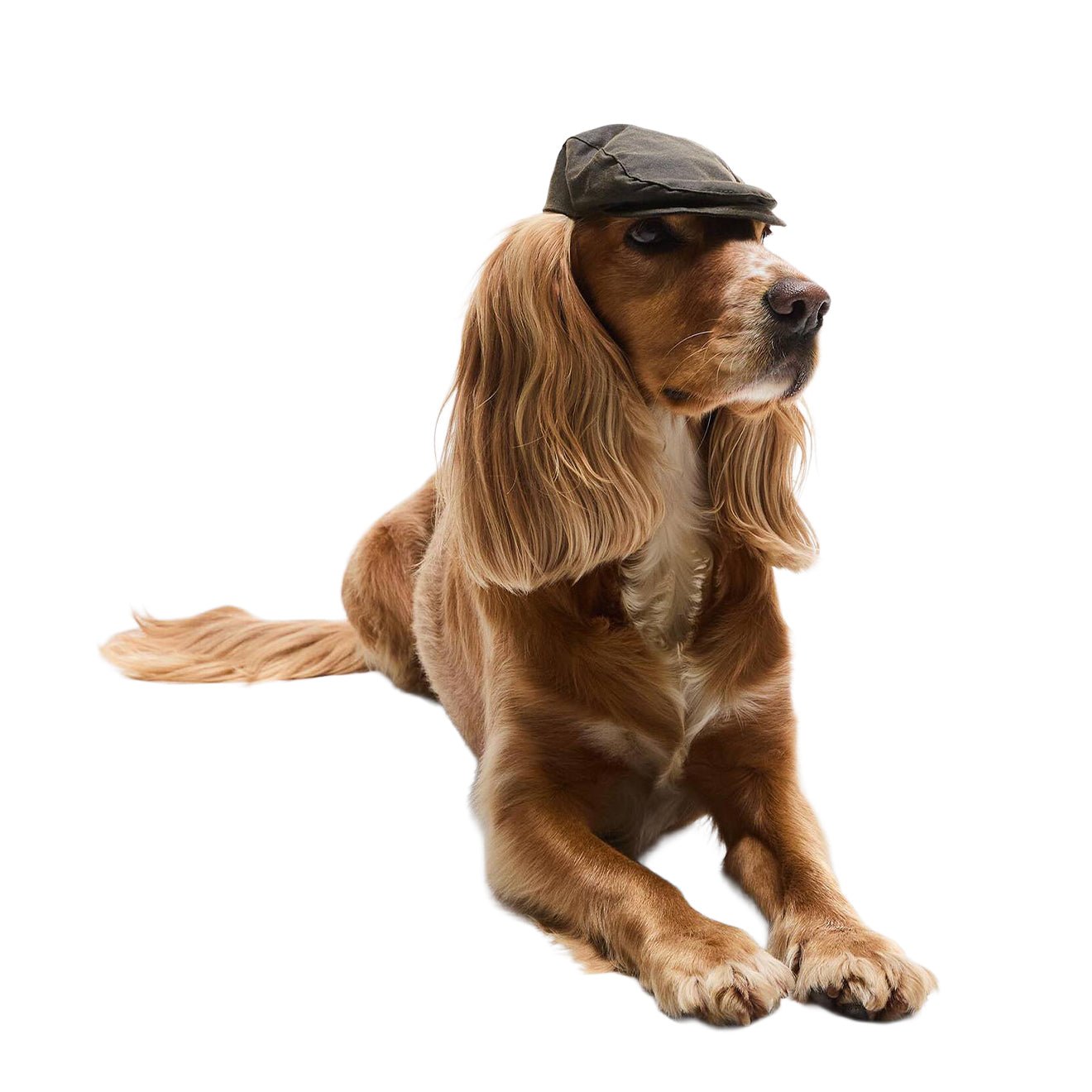 Barbour Dog Wax Flat Cap Olive - The Sporting Lodge