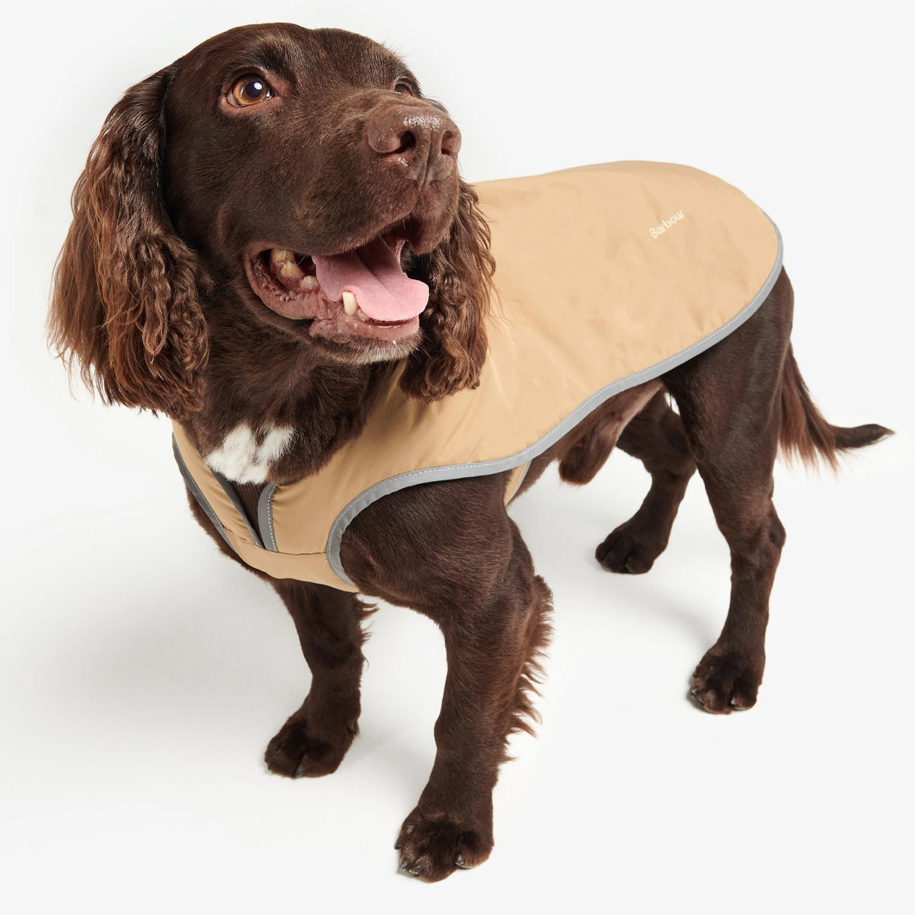 Barbour Monmouth Waterproof Dog Coat Trench - The Sporting Lodge