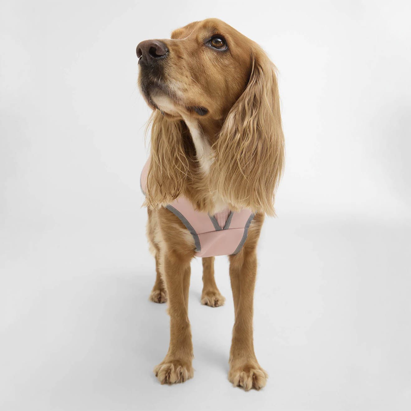 Barbour Evie Waterproof Dog Coat Gardenia Pink
