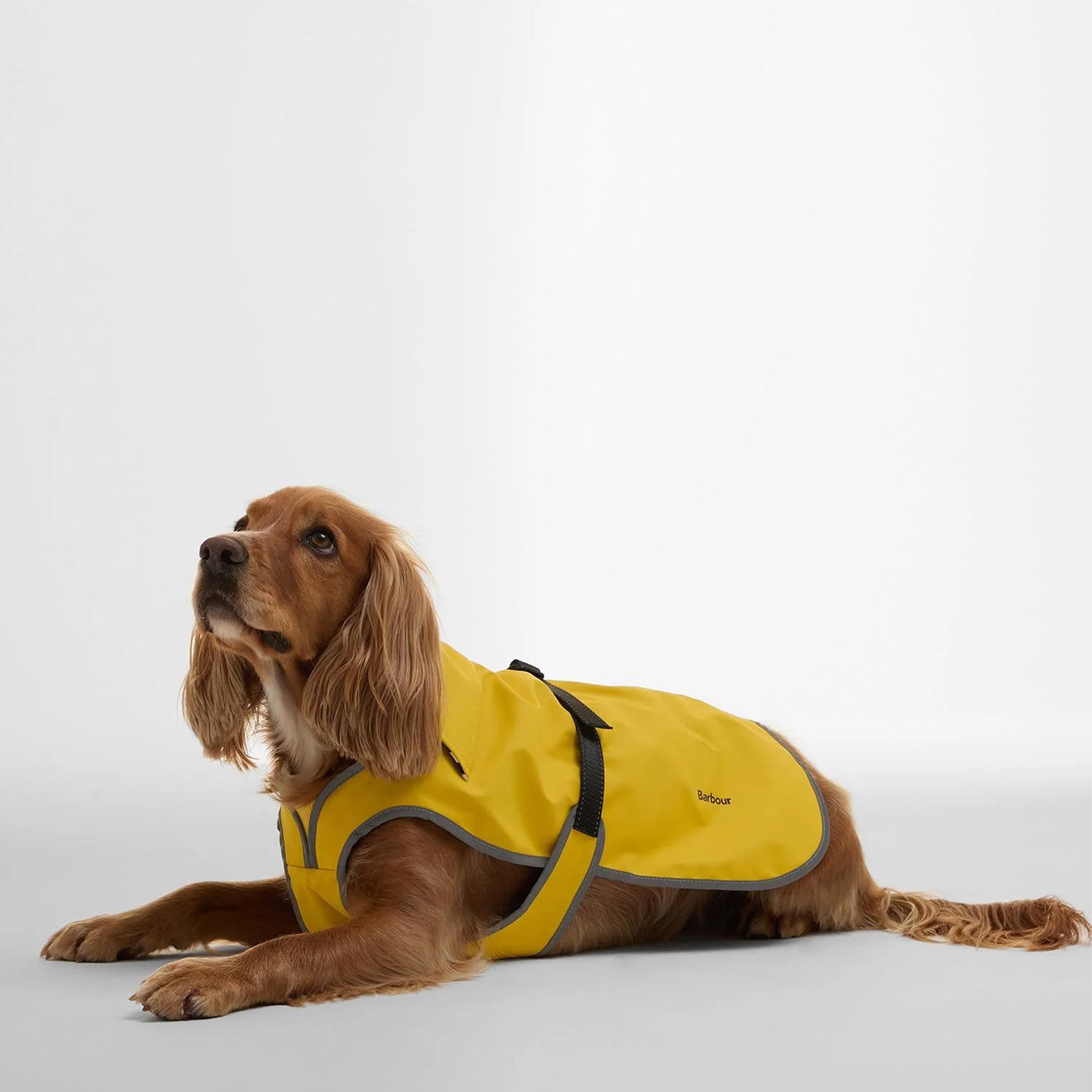 Barbour Evie Waterproof Dog Coat Limeade - The Sporting Lodge
