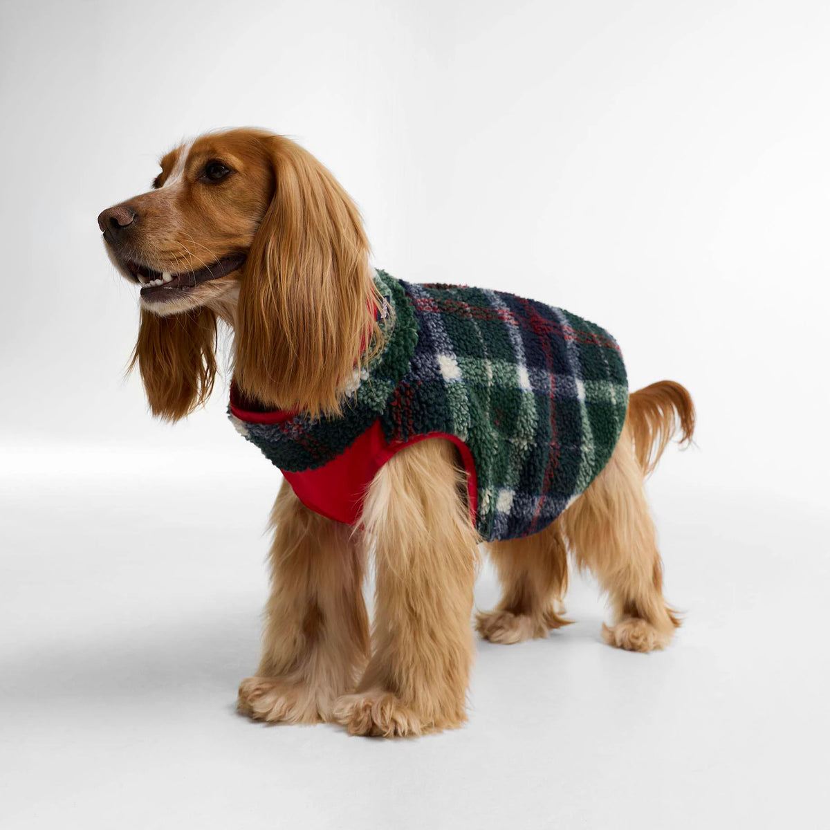Barbour Field Reversible Dog Coat Evergreen Tartan