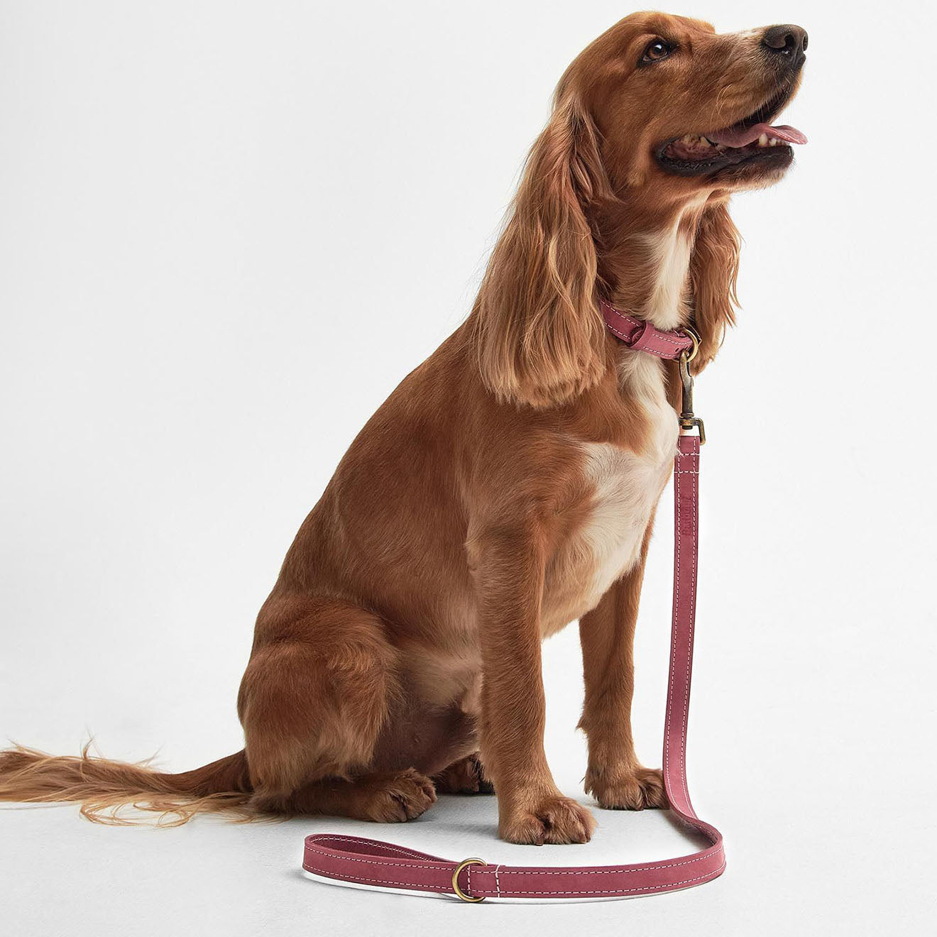 Barbour Leather Dog Lead Classic Pink The Sporting Lodge
