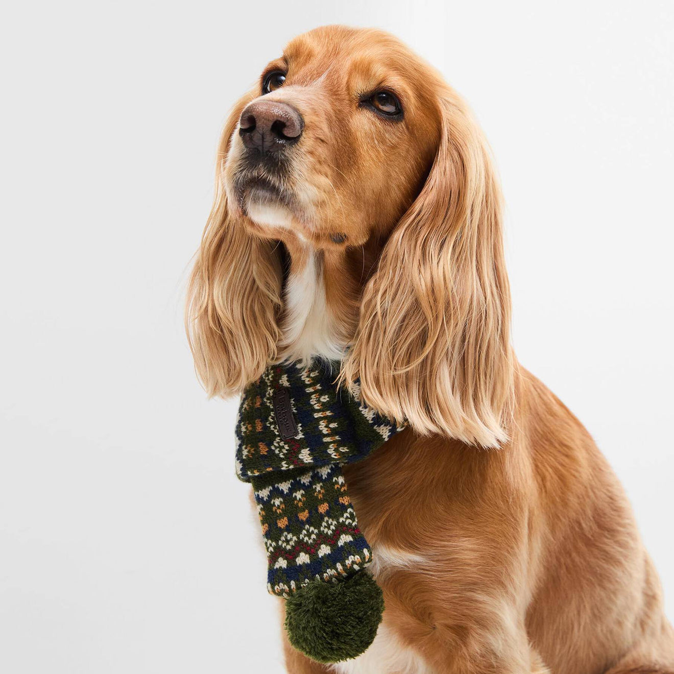 Barbour Marlow Fair Isle Dog Scarf Olive