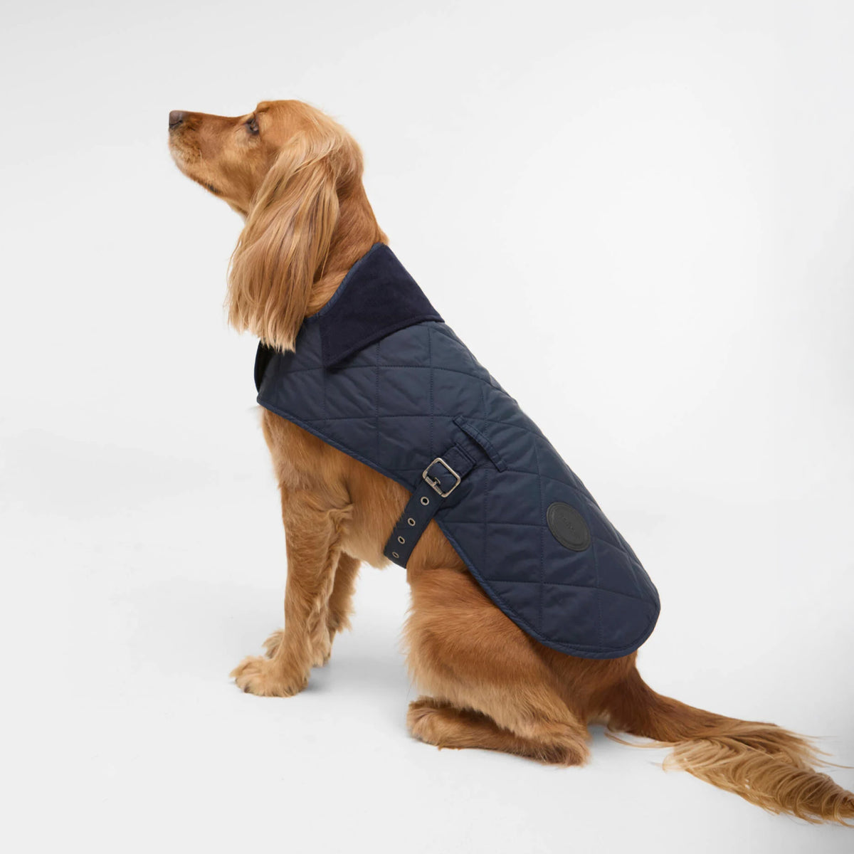 Barbour Quilted Dog Coat Dark Navy