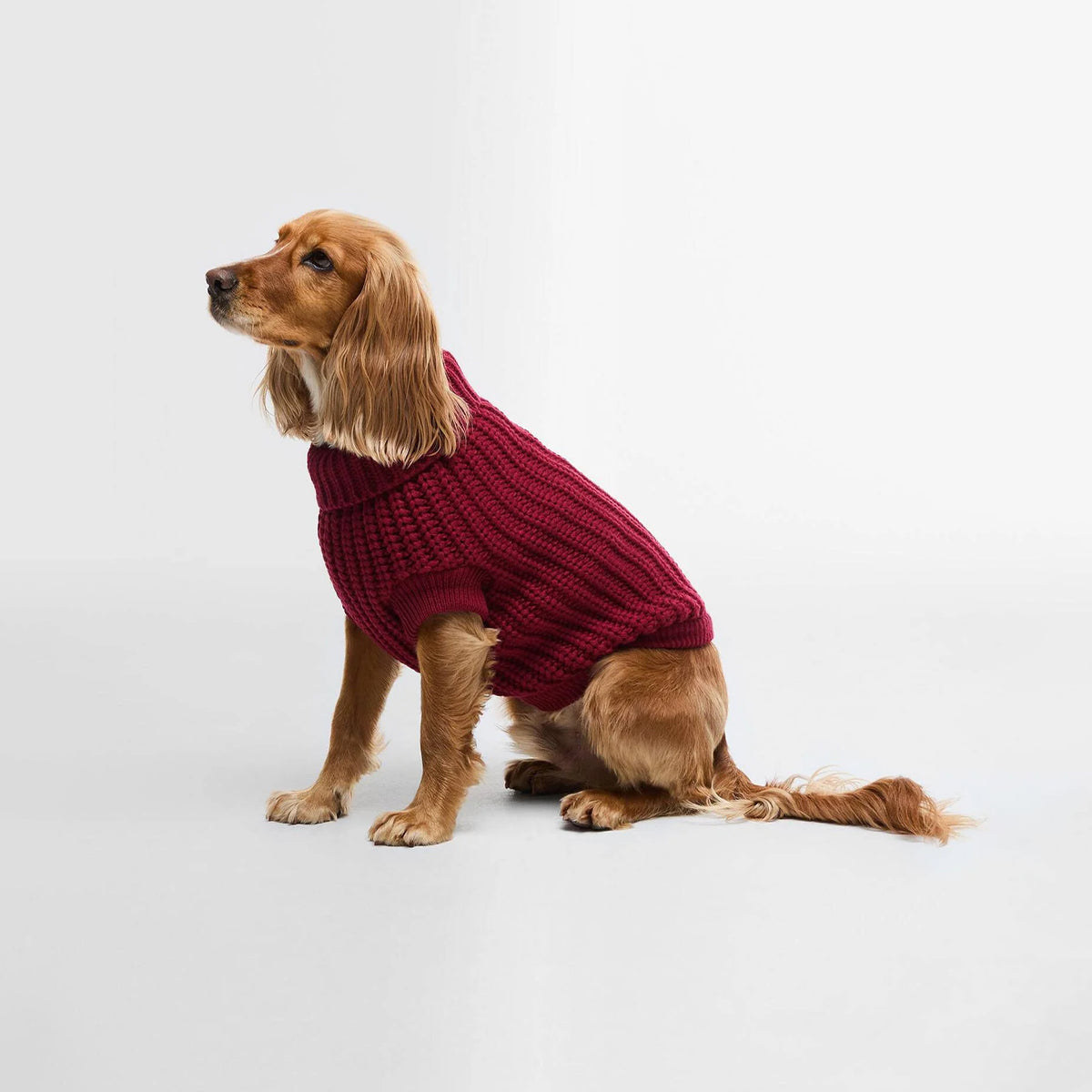 Barbour Saltburn Dog Jumper Biking Red