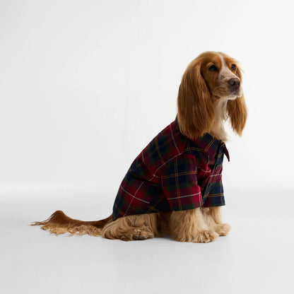Barbour Tartan Fortrose Dog Shirt Winterberry Tartan
