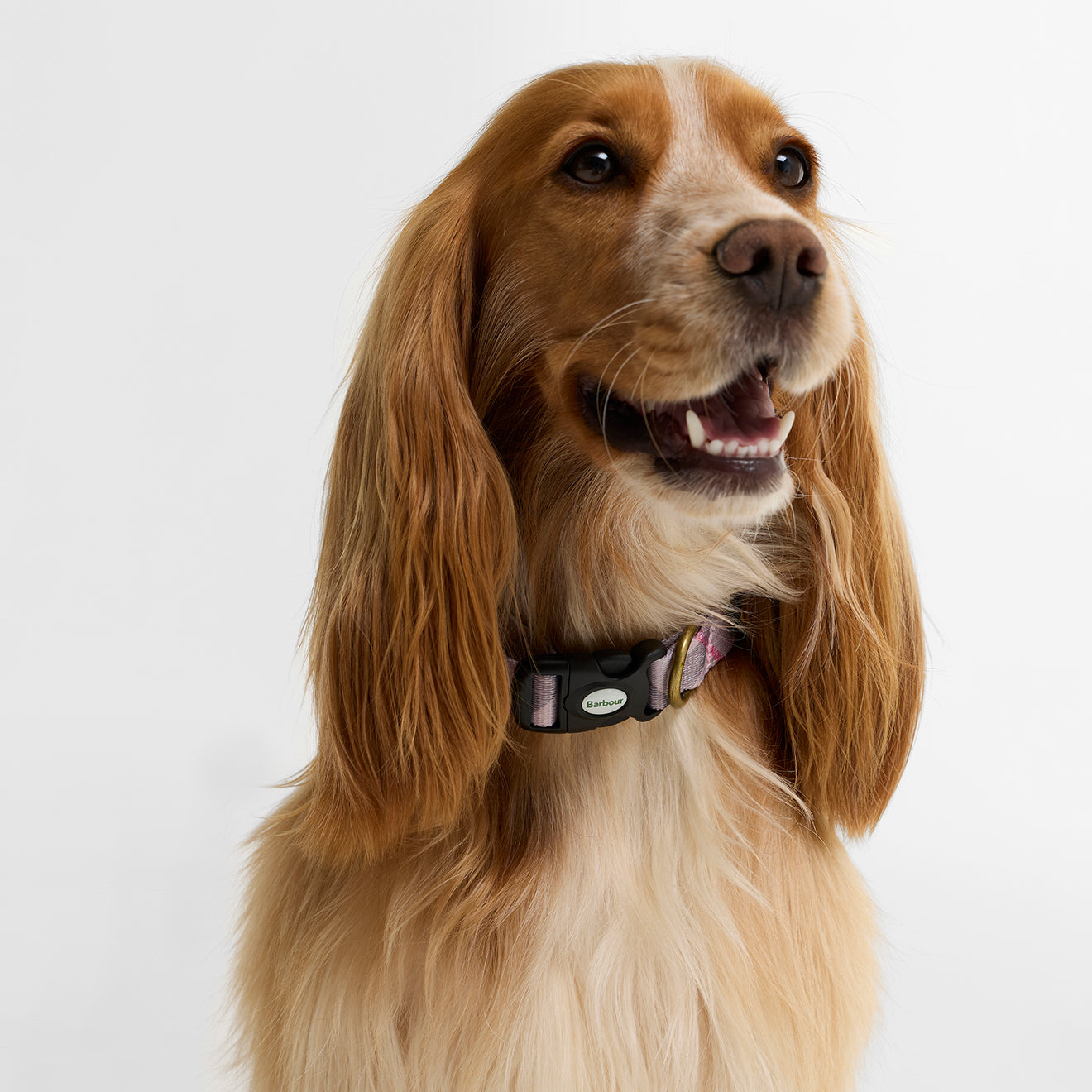 Barbour Tartan Printed Dog Collar Pink Tartan