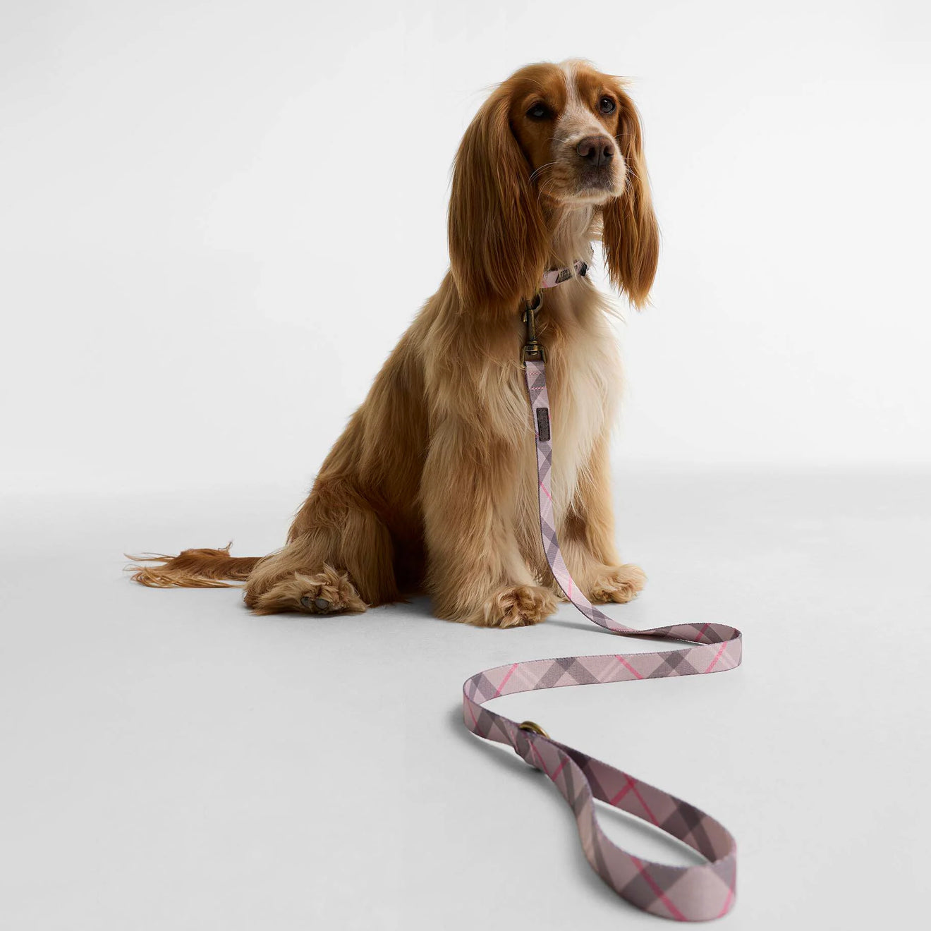 Barbour Tartan Printed Dog Lead Pink Tartan
