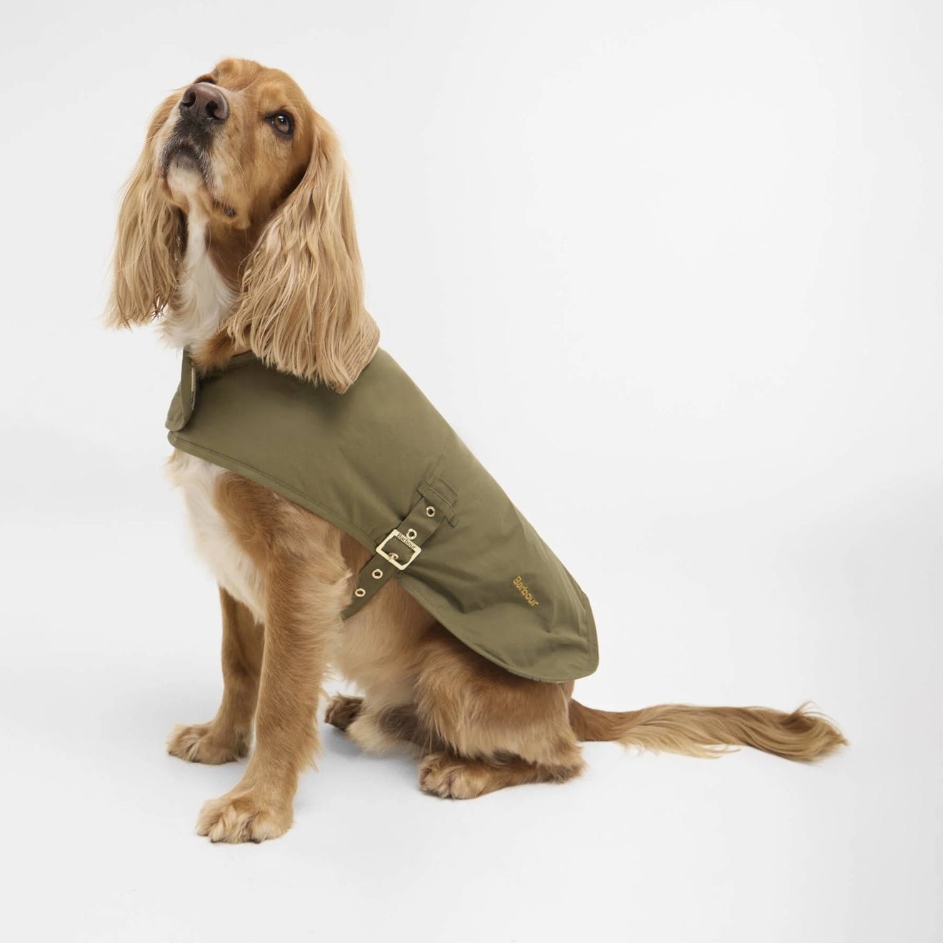 Barbour Transport Dog Coat Dusky Green - The Sporting Lodge
