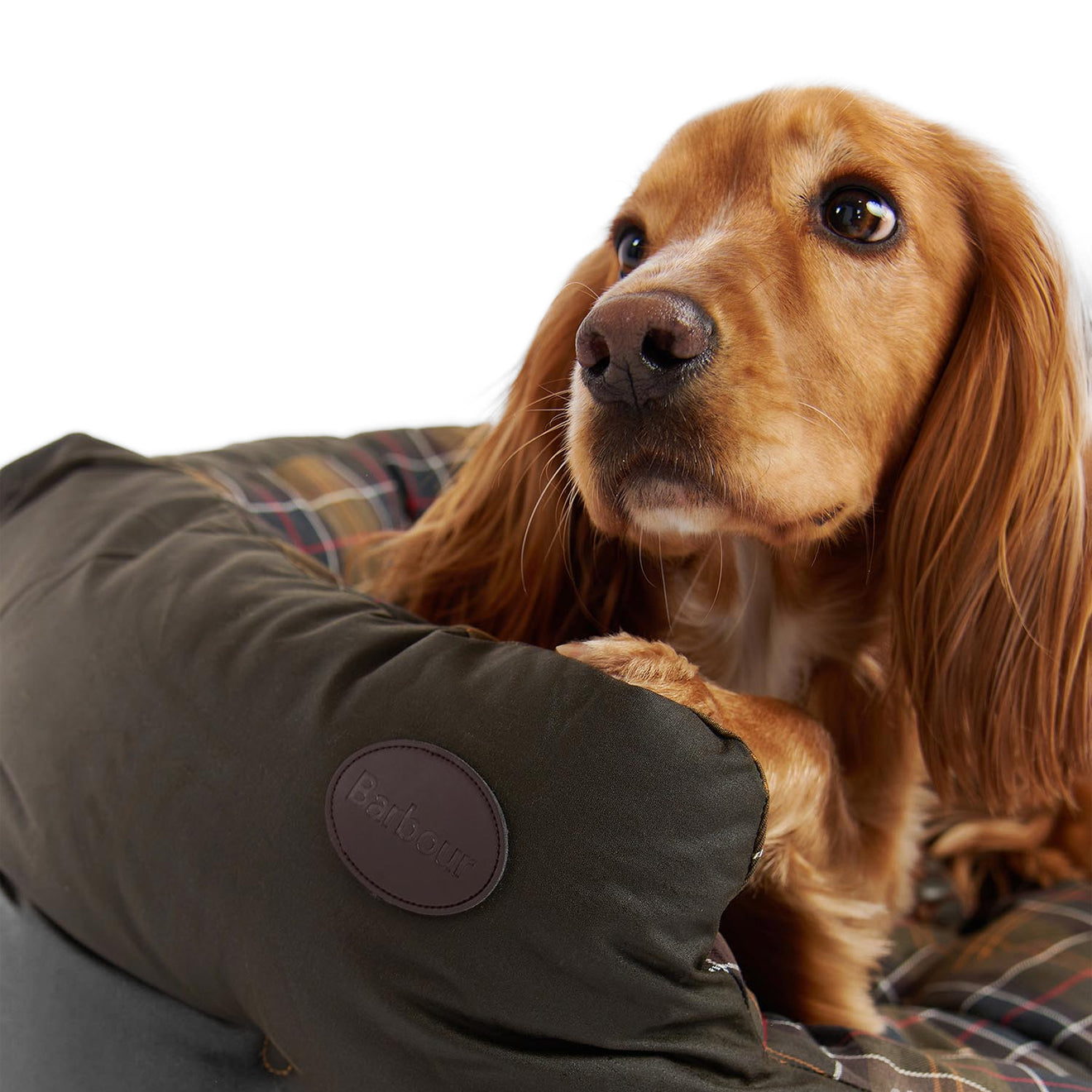 Barbour Wax Cotton Dog Bed 35 Inches - The Sporting Lodge