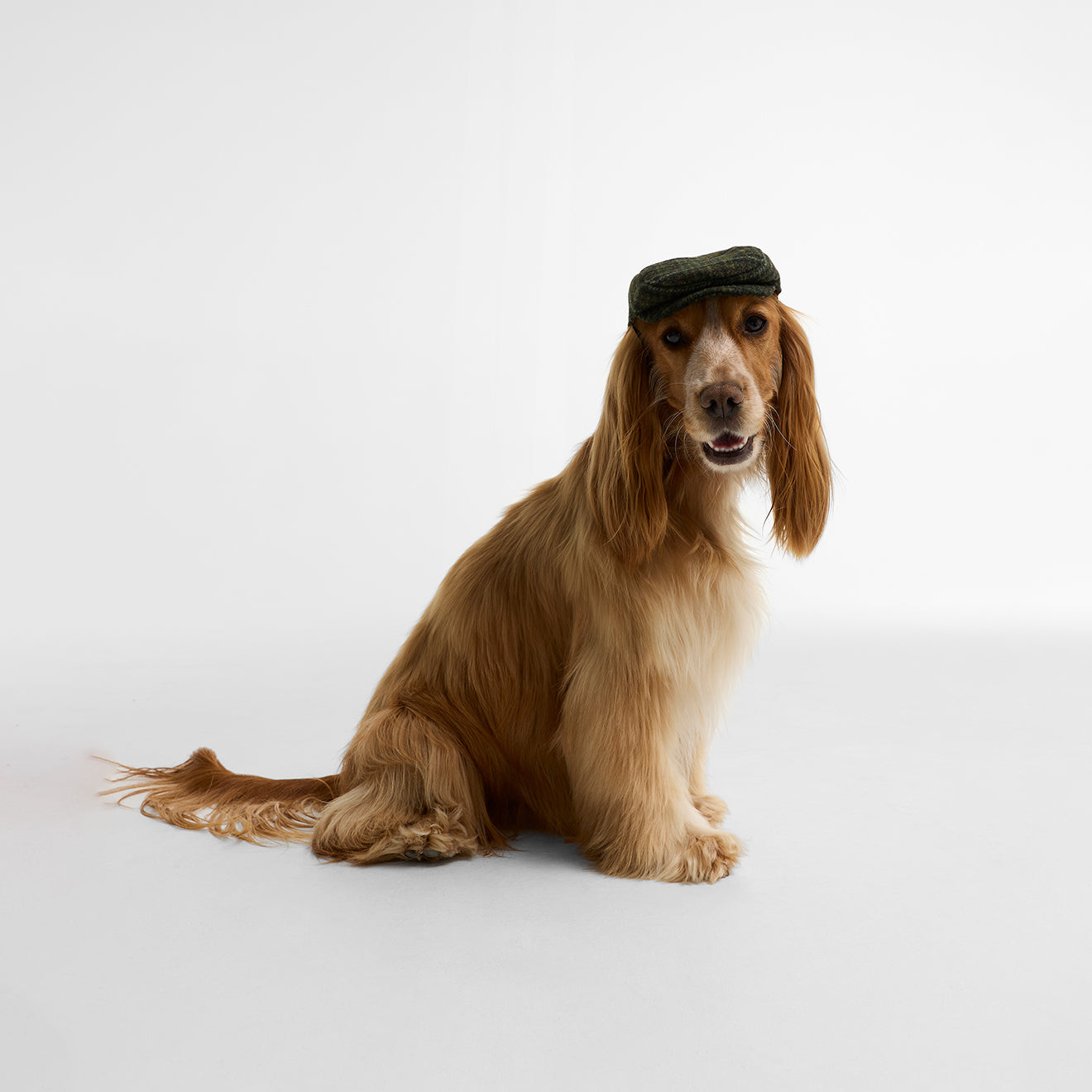 Barbour Wilkin Dog Flat Cap Olive Check