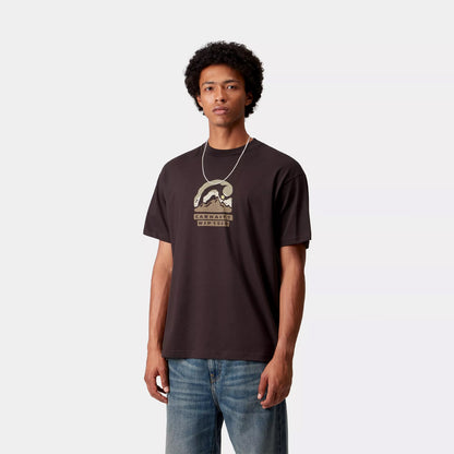 Carhartt WIP S/S Rising Helix T-Shirt Palisander