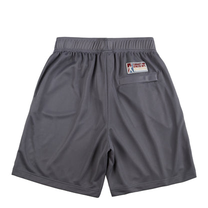 Carhartt WIP Win Lock Up Short Yosemite