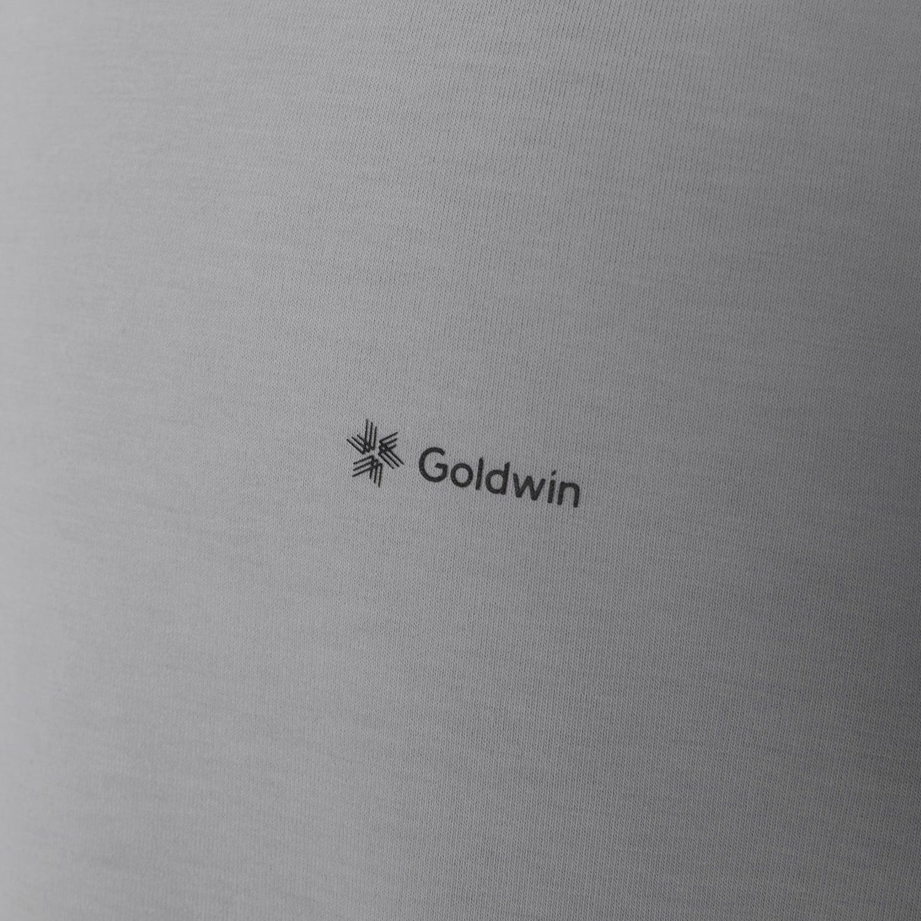 Goldwin Goldwin Graphic T-shirt Sleet Gray