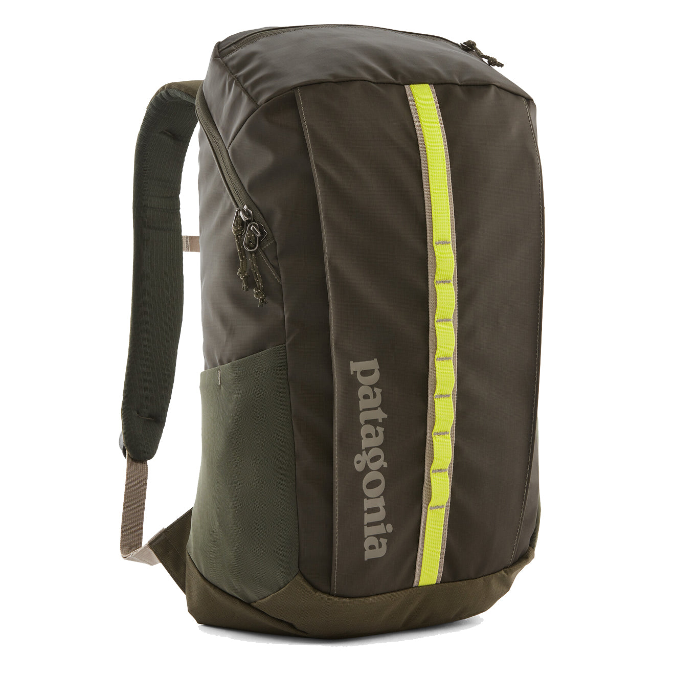 Patagonia Black Hole Pack 25L Pine Needle Green | The Sporting Lodge