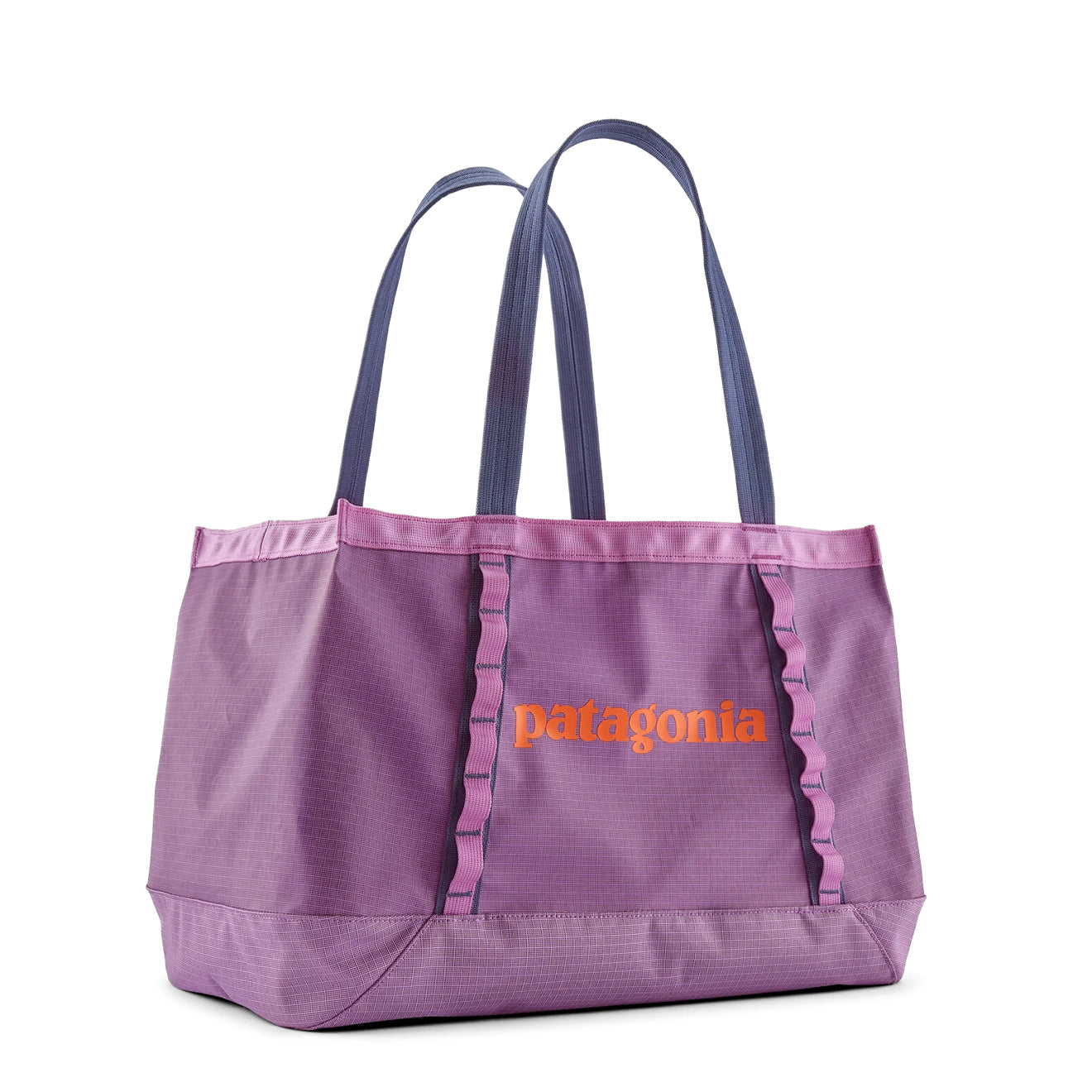 Patagonia Black Hole Tote 25L Brisk Purple