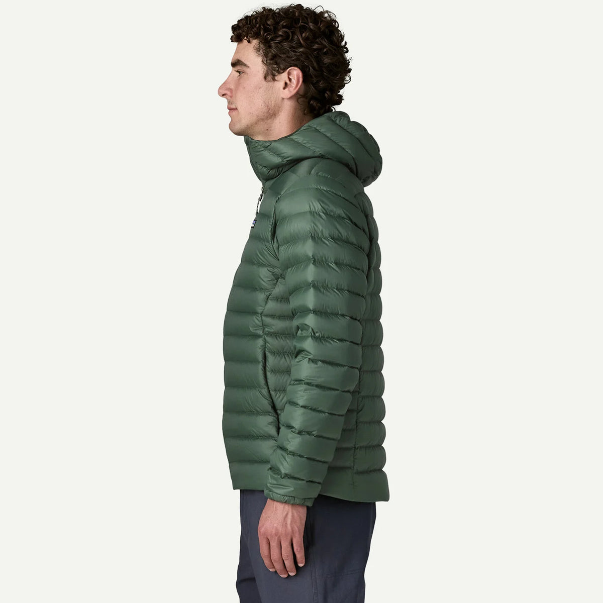 Patagonia Down Sweater Hoody Jacket Treeline Green