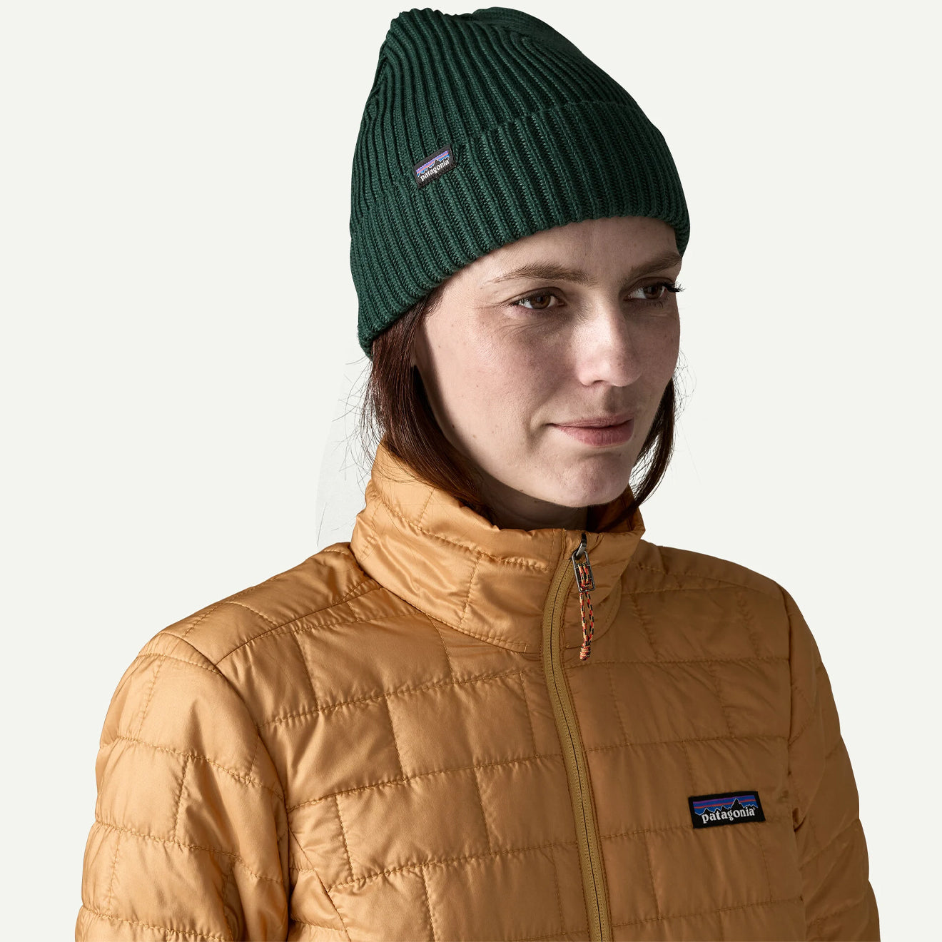 Patagonia Fisherman's Rolled Beanie Cascade Green