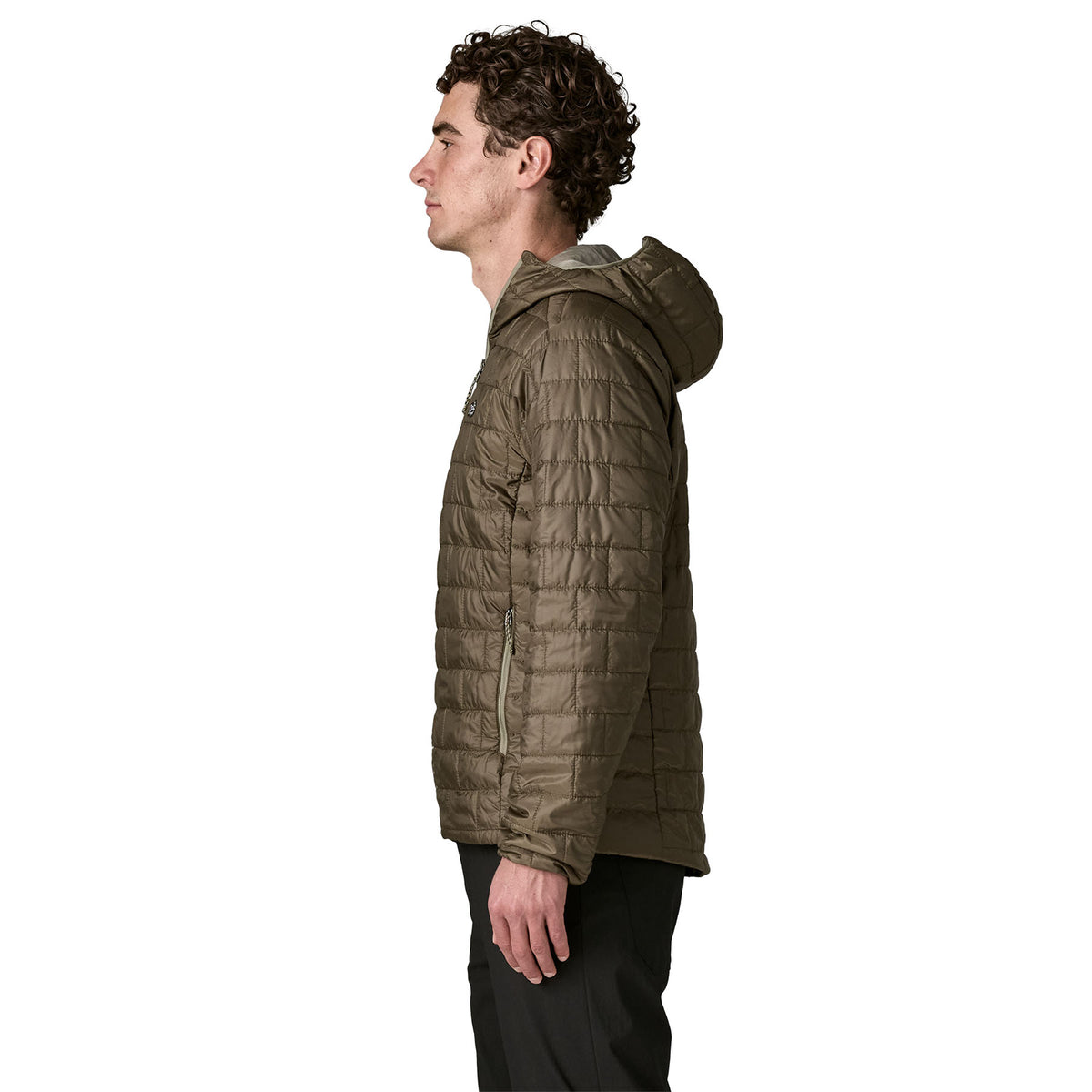 Patagonia Nano Puff Fitz Roy Trout Hoody Basin Green