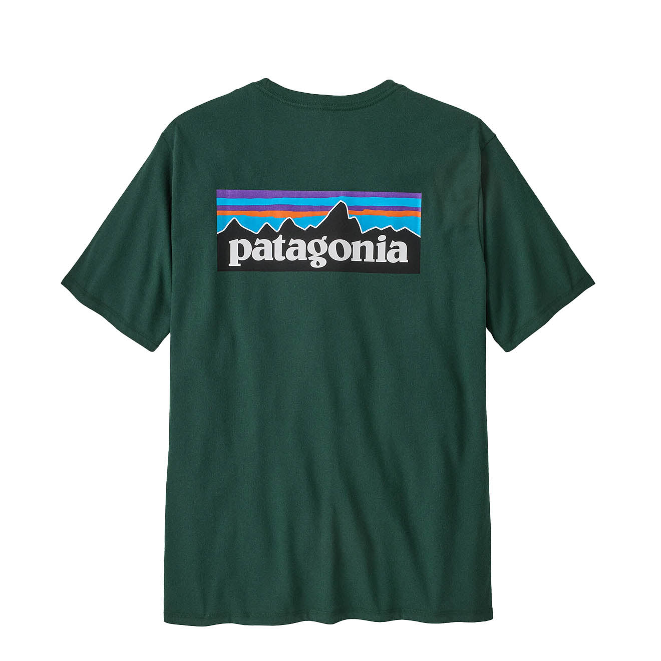 Patagonia P-6 Logo Responsibili-Tee Cascade Green