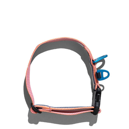 United by Blue Woven Dog Collar Foxglove / Lilac Haze