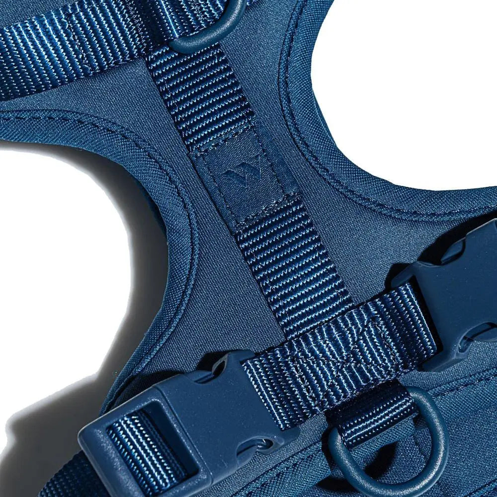 Wild One Dog Harness 2.0 Blue - The Sporting Lodge